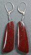 Brilliant, Red, Trapezoidal Dinosaur Gembone Earrings #22527-3